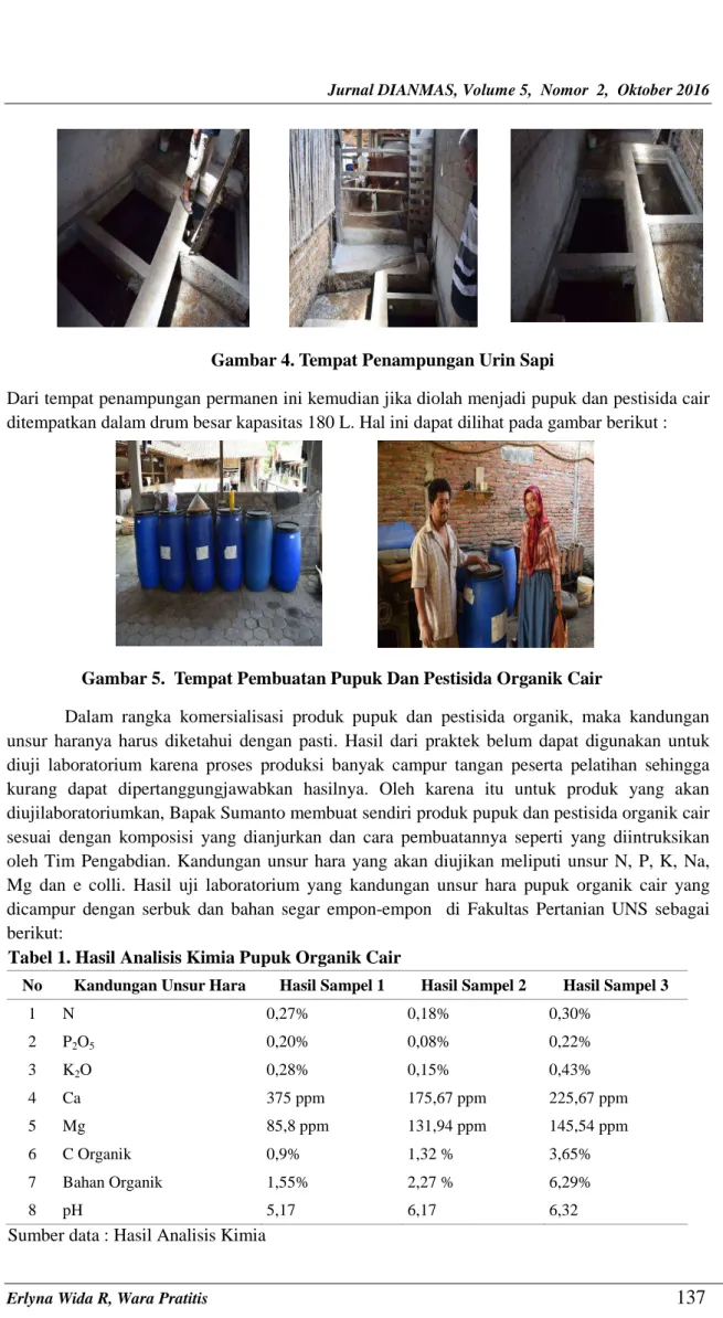 Gambar 4. Tempat Penampungan Urin Sapi 