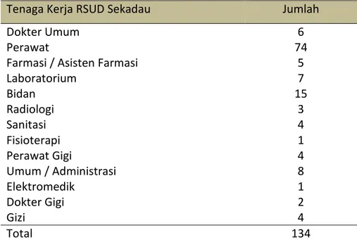 Tabel di atas merupakan gambaran mengenai jumlah tenaga kerja yang  terdapat  di  RSUD  Sekadau  hingga  tahun  2011  yang  mencapai  134  orang