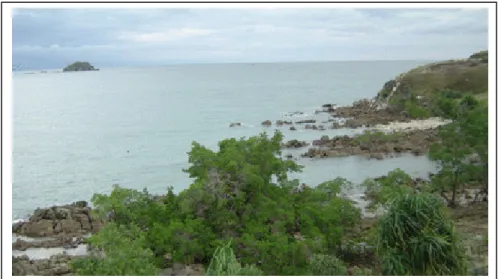 Gambar 2.  Lanskap Wilayah Pesisir di Sekitar Pulau Jemur, tampak Pulau Jemur dari  kejauhan (www.dkp.go.id,2005) 