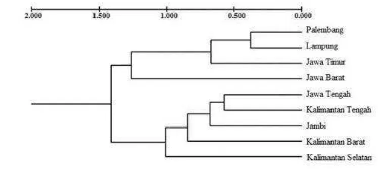 Gambar 2 Dendrogram jarak genetik 9 populasi ikan sepat siam (Trichogaster 