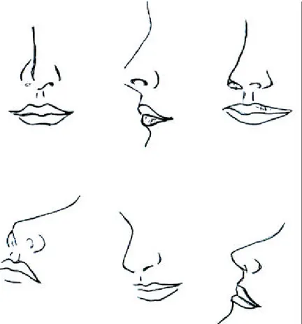 Gambar 90. Hidung tampak depan, tampak tiga perempat, tampak samping  dan hidung pada wajah menunduk  