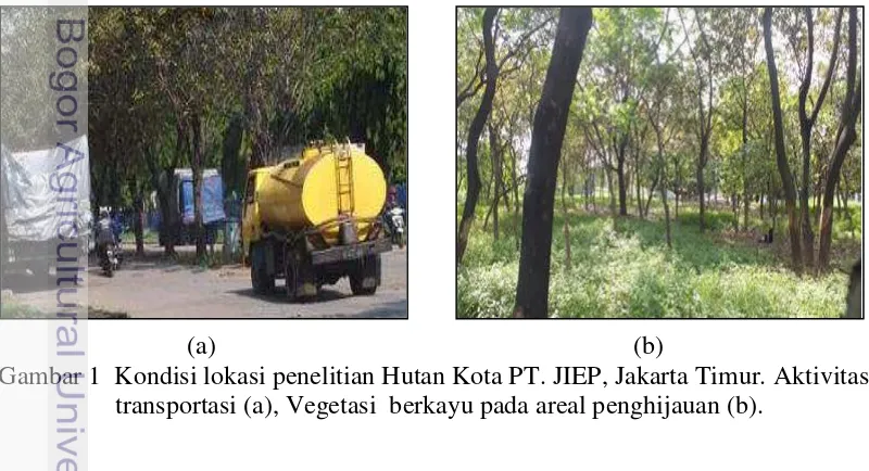 Gambar 1  Kondisi lokasi penelitian Hutan Kota PT. JIEP, Jakarta Timur. Aktivitas  