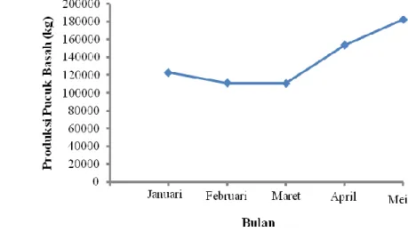 Gambar  1.    Pola  Produksi  Pucuk  Basah  per  Bulan  pada  Tahun  2011  di  Unit Perkebunan Tanjungsari 
