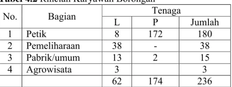 Tabel 4.2 Rincian Karyawan Borongan