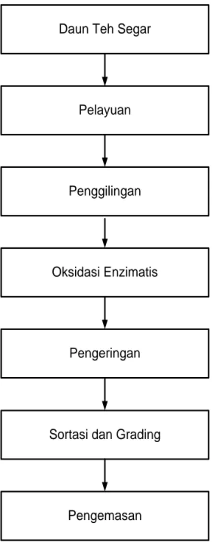 Diagram Proses Pengolahan Teh Hitam Ortodoks Bagan 1. Proses Pengolahan teh ortodoks 