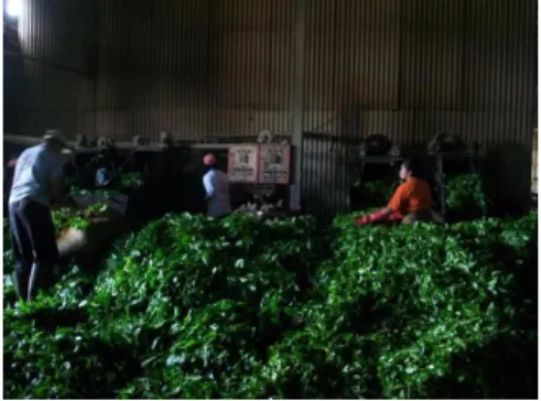 Gambar 9. Proses Pelayuan 
