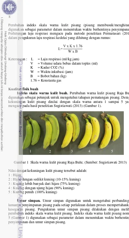 Gambar 1  Skala warna kulit pisang Raja Bulu; (Sumber: Sugistiawati 2013) 