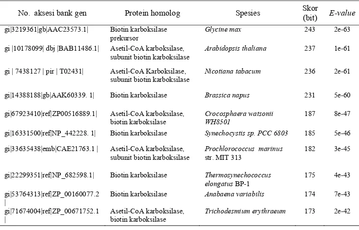 Table 1.  Protein and plant species origin from BlastX analysis output showing homology with the cloned  