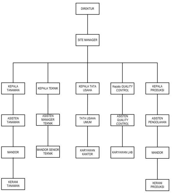 Gambar 2.1. Struktur Organisasi PT. Mitra Kerinci 