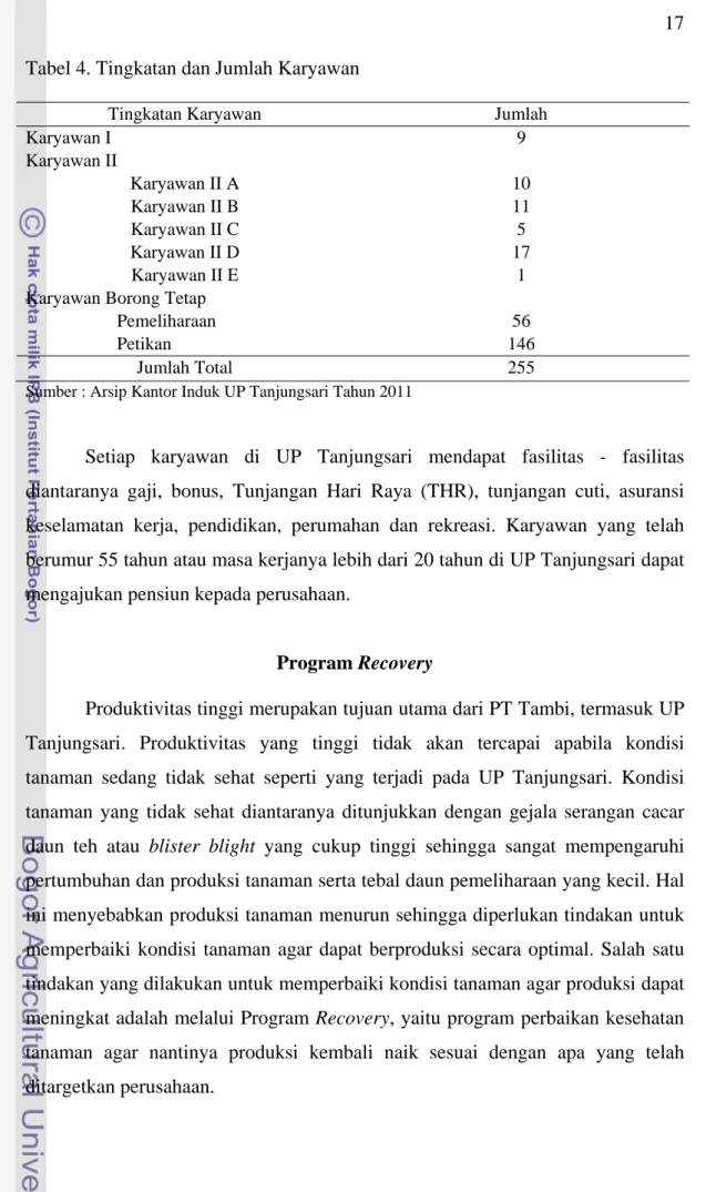 Tabel 4. Tingkatan dan Jumlah Karyawan  
