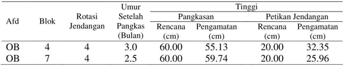 Tabel 7. Tinggi Petikan Jendangan dan Tinggi Pangkasan pada 2 Blok di  Perkebunan Rumpun Sari Kemuning 