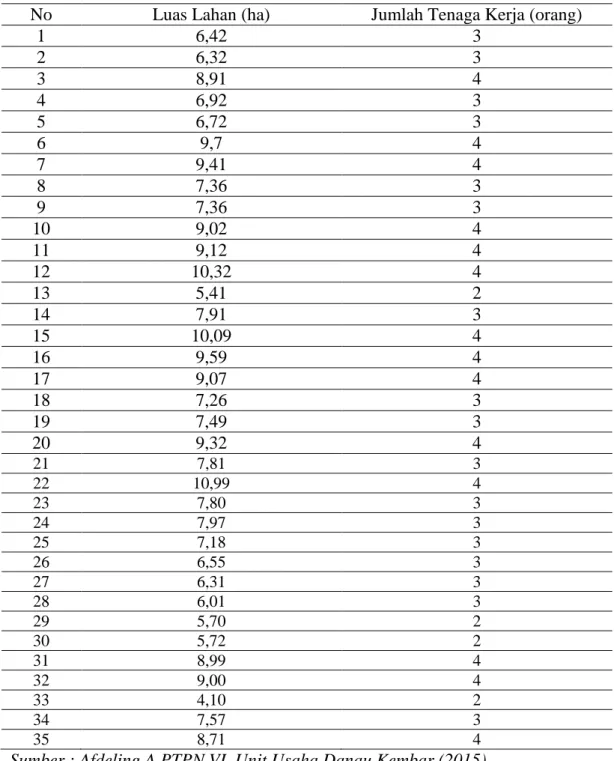 Tabel diatas dapat kita lihat bahwa pada peningkatan luas lahan tidak diikuti  oleh  pertambahan  jumlah  tenaga  kerja