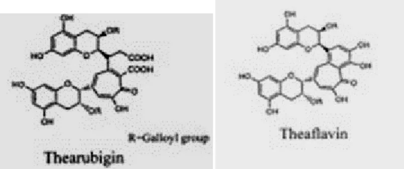 Gambar 2. Stuktur kimia theaflavin dan thearubigin  ( www.rumahteh.com)  2. Substansi bukan fenol 