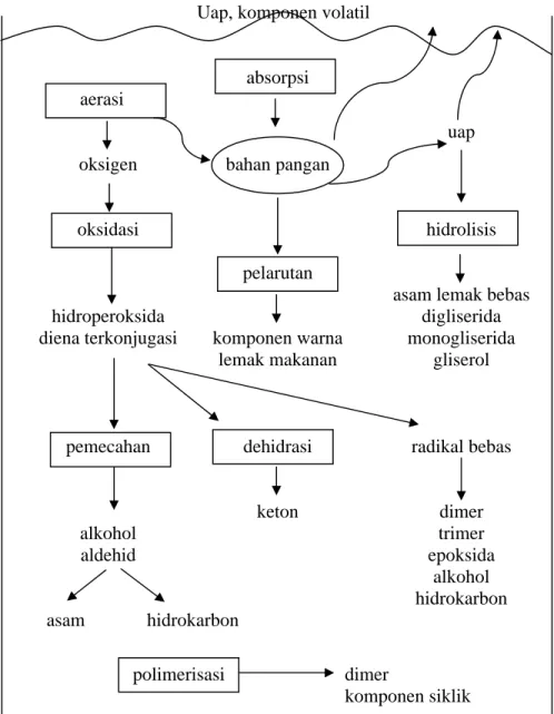 Gambar 1.  Reaksi-reaksi yang terjadi selama proses  deep fat frying  (Hui, 1996).