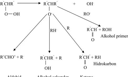 Gambar 9. Reaksi pemecahan hidroperoksida lemak. 