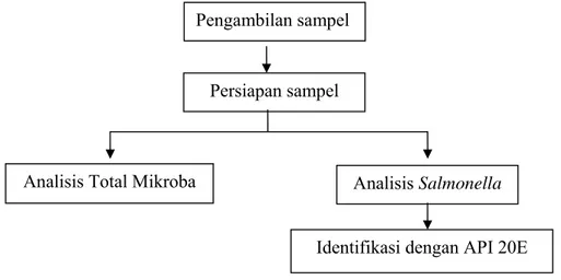 Gambar 1. Diagram Alir Metode Penelitian Tahap I Pengambilan sampel 