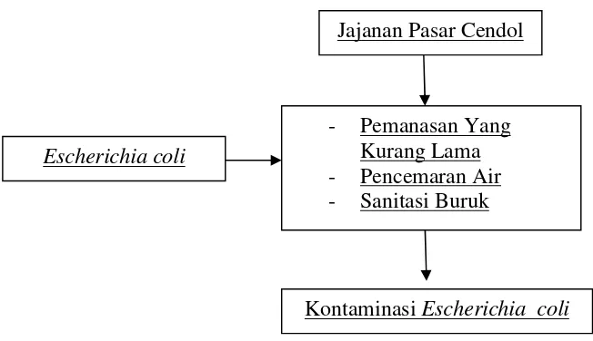 Gambar 2. Kerangka konsep penelitian