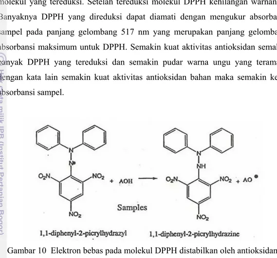 Gambar 10  Elektron bebas pada molekul DPPH distabilkan oleh antioksidan  Antioksidan pembanding sampel yang biasa digunakan antaralain: asam  askorbat, tocoferol, BHA, BHT dan trolox