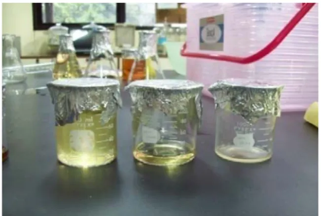 Gambar 6.  Hasil ektraksi dengan pelarut: (A) etanol, (B) etil asetat,  dan (C) heksana 