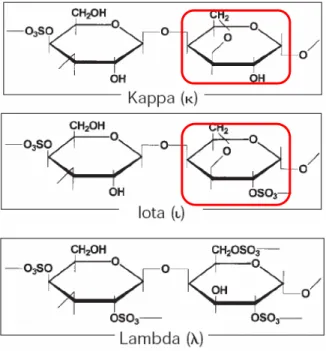 Gambar 1. Struktur kimia kappa, iota, dan lambda   karagenan (Bubnis, 2000) 