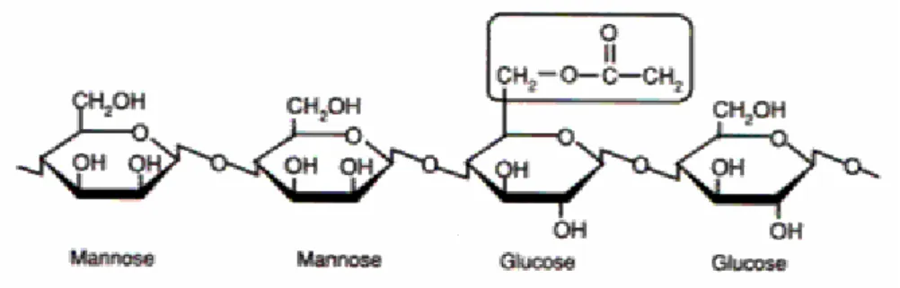 Gambar 5. Struktur kimia konjak glukomannan (Johnson, 2002)  Konjak glukomannan adalah polimer yang larut dalam air dan dapat  menyerap 100 kali dari volumenya sendiri dalam air