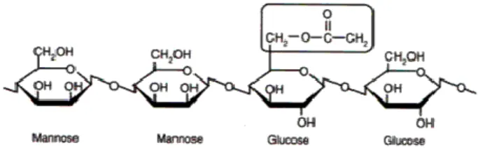 Gambar 4 Struktur Glukomannan (Anonim 2002) 