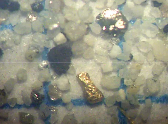 Gambar  6.  Analisa mineral butir sampel no W-01/P yang menunjukkan butiran emas. 