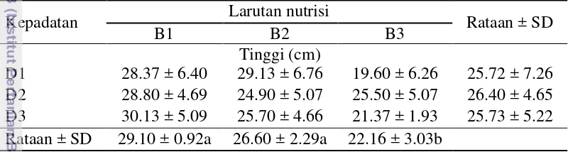 Tabel 2  Rataan tinggi tanaman hijauan jagung hidroponik hari ke-8 