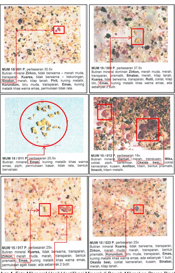 Gambar 4. Foto Mikrograf Hasil Identifikasi Mineral di Bawah Mikroskop Stereo Binokuler  Conto Konsentrat Dulang  