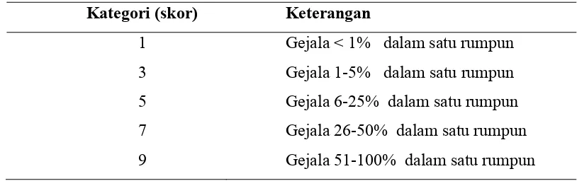 Tabel 2. Skoring penyakit bercak daun cercospora  