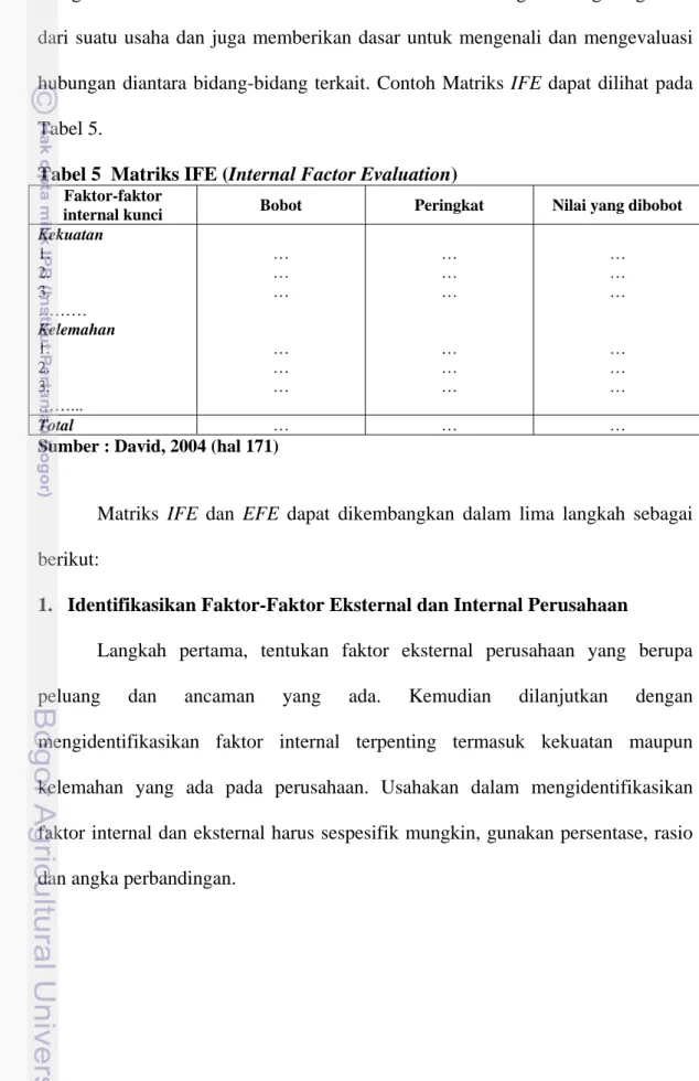 Tabel 5  Matriks IFE (Internal Factor Evaluation) 