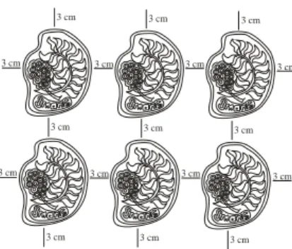 Gambar 5: Bingkai Motif 