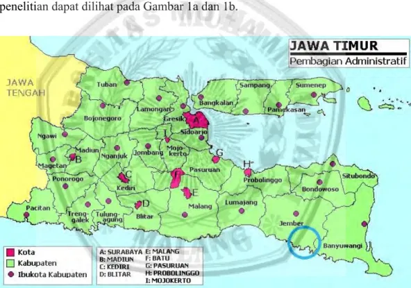 Gambar 1a. Kabupaten Jember, Provinsi Jawa Timur 