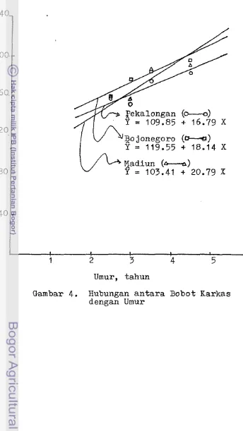 Gambar 4. Hubungan a n t a r a  Bobot Karkas dengan Umur 