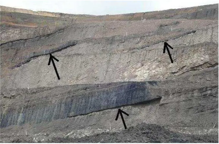 Gambar 10. Ilustrasi lapisan Batubara (Coal seam) dan Overburden seam. 