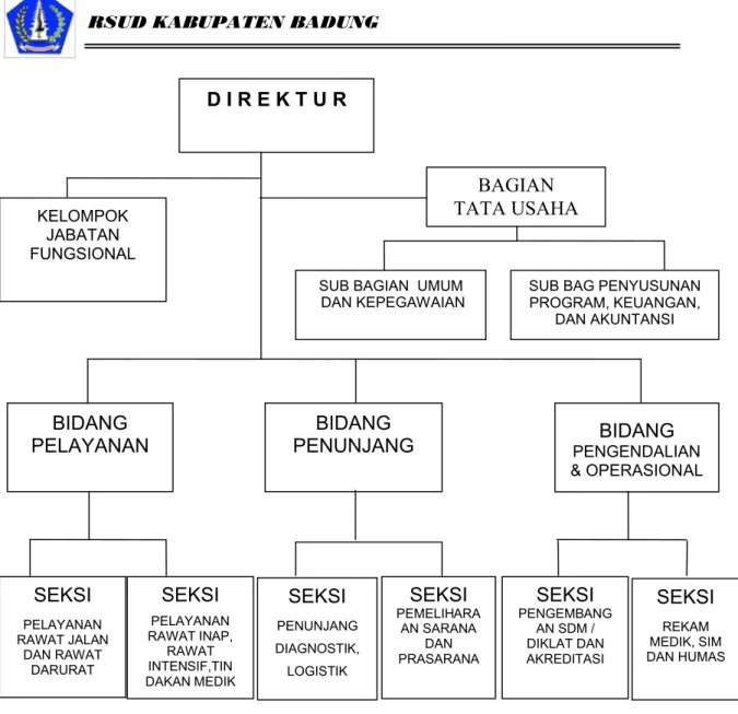 Gambar 1.2 Bagan Struktur Organisasi Rumah Sakit Umum Daerah Kabupaten  Badung  (Perda Kabupaten Badung Nomor 7 Tahun 2008).