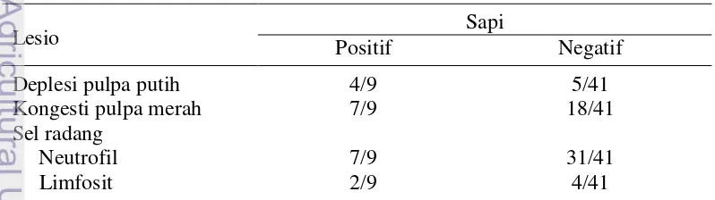 Tabel 4 Deskripsi gambaran lesio histopatologi organ limpa antara sapi positif dan 