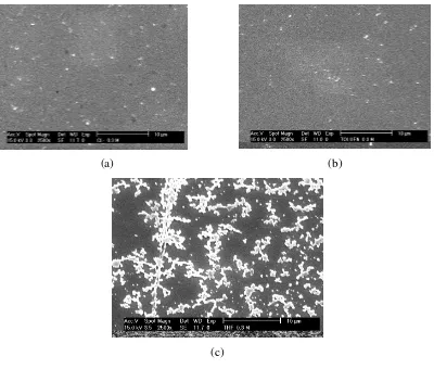 Gambar 6.  Foto SEM permukaan film tipis MEH-PPV yang di spin-casting dengan larutan dengan konsentrasi 0.3 % dalam pelarut (a)