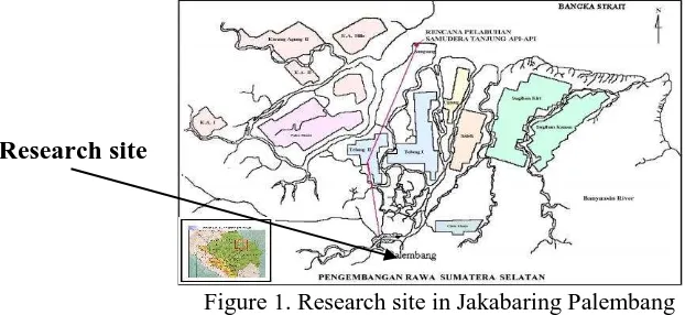 Figure 1. Research site in Jakabaring Palembang (Direktorat Rawa dan Pantai, 2009) 