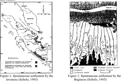 Figure 3. Spontaneous settlement by the  Buginese (Scholz, 1985) 