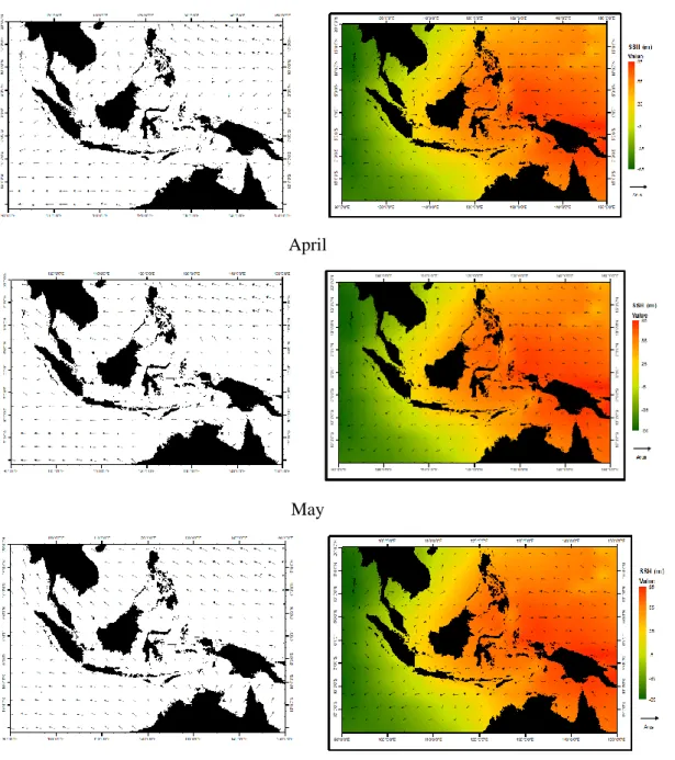 Figure 4.Spatial distribution of wind (left) and overlapping surface geostrophic  currents with sea surface height  (right) at  Indonesian Seas during the Transition Season I 