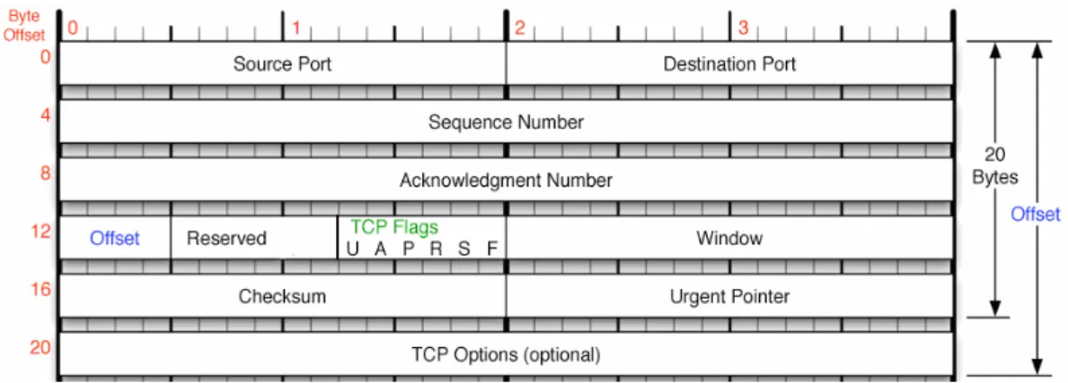 Gambar 2.10 Struktur Header TCP 