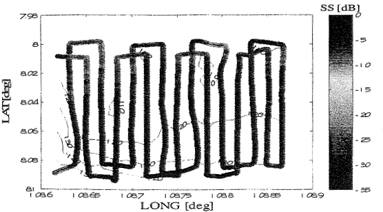 Gambar 3. Distribusi nilai acoustic backscattering strength (SS) dasar laut. 