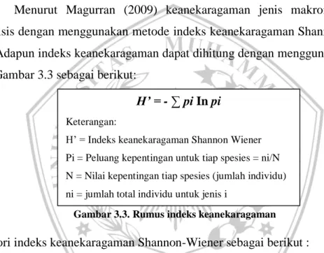 Gambar 3.3. Rumus indeks keanekaragaman 