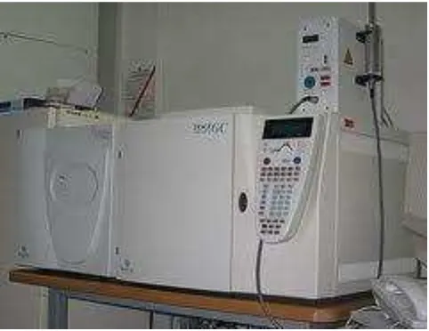 Gambar 10. Gas Cromatografy Mass Spectrometry (GCMS) 
