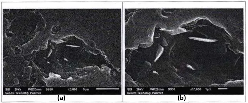 Gambar 5 Foto Morfologi LLDPE perbesaran 1000x(a), 2500x(b), 5000x(c), dan 10000x(d) 