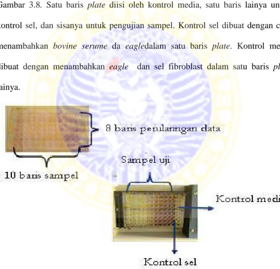 Gambar  3.8.  Satu  baris  plate  diisi  oleh  kontrol  media,  satu  baris  lainya  untuk  kontrol  sel,  dan  sisanya  untuk  pengujian  sampel