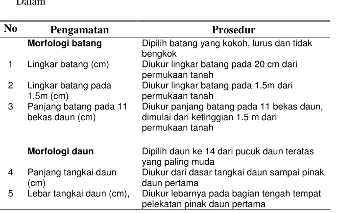 Tabel 2. Prosedur Pengamatan Marka Morfologi Tanaman Kelapa 