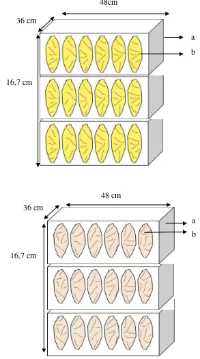 Gambar 2.  Model penyusunan ubi jalar selama penyimpanan kondisi lingkungan. 