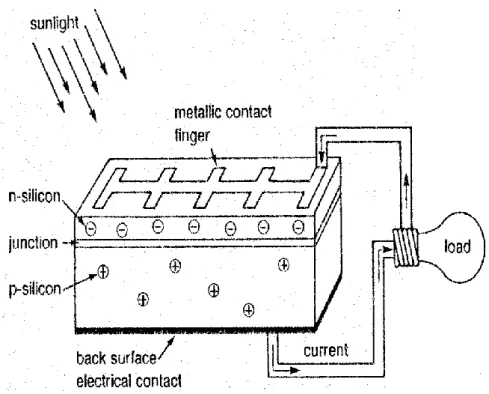 Gambar 2.8 Diagram dari Sebuah Potongan Sel Surya (PV)[5] 